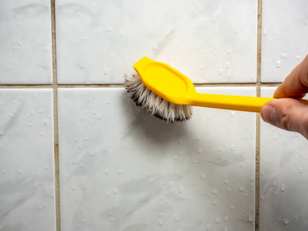 Best Emergency Mold Removal  in River Road, NC